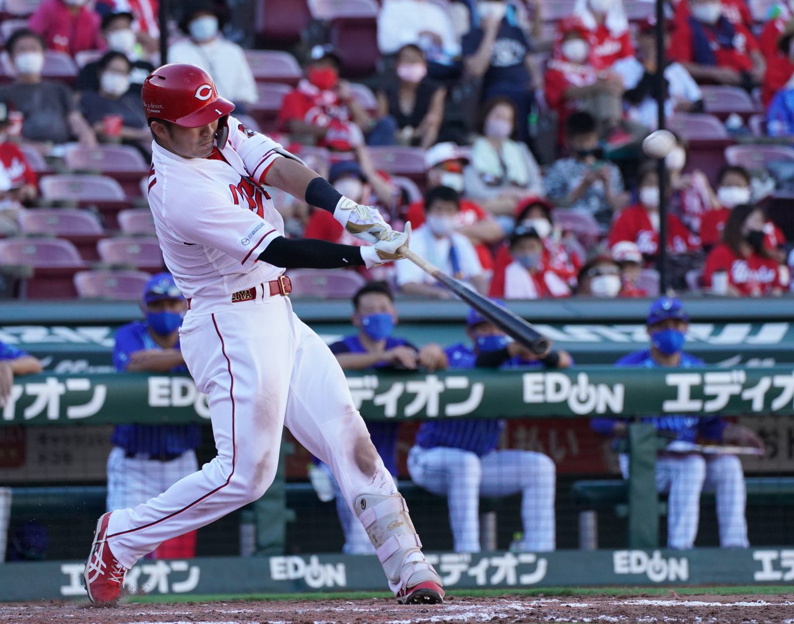 Baseball: Slugging outfielder Seiya Suzuki to be posted by Hiroshima Carp