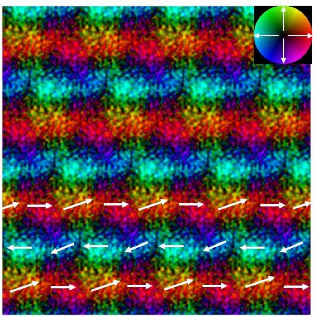 Japanese Researchers Identify Fields of Atoms with NobelWorthy Electron Microscope