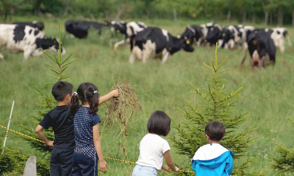 japanese-elementary-schoolers-learn-fate-of-cows-on-farm-trip-japan