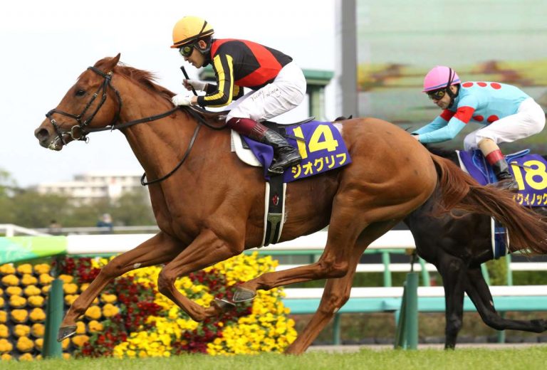 20220417 Horse Racing Satsuki Sho Geoglyph 001