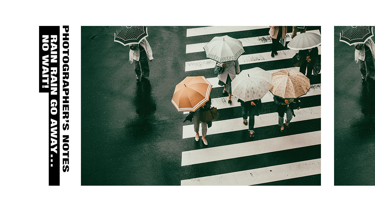 Innovative Hands-Free Umbrella That Keeps Your Camera Dry When Shooting In  The Rain