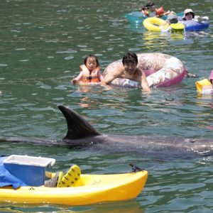 20220722 Whales Sea-bather Taiji 001