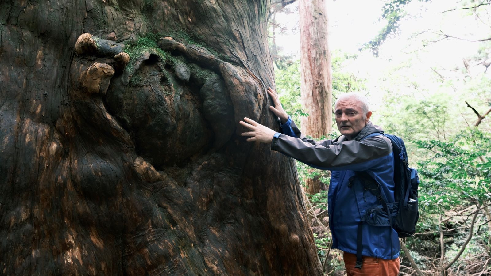 Yakushima - The Mystical Island