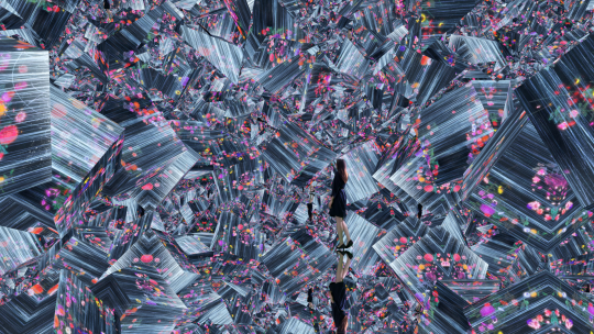 teamLab Borderless Says Goodbye to Odaiba, to Reopen with New Cutting ...