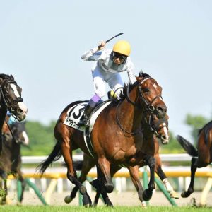 Horse Racing - Do Deuce Tokyo Yushun Derby May 2022 003