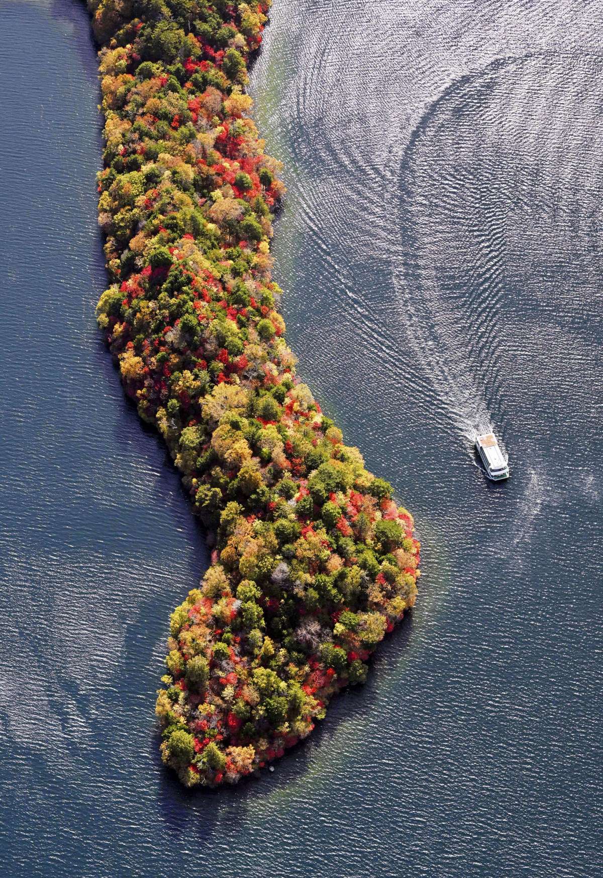 20221021 Nikko Autumn Colors 002 JAPAN Forward