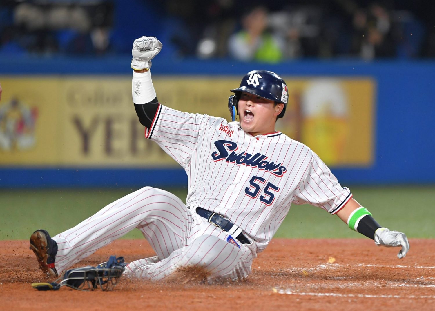 Yakult Swallows mascot, black bird, red and white