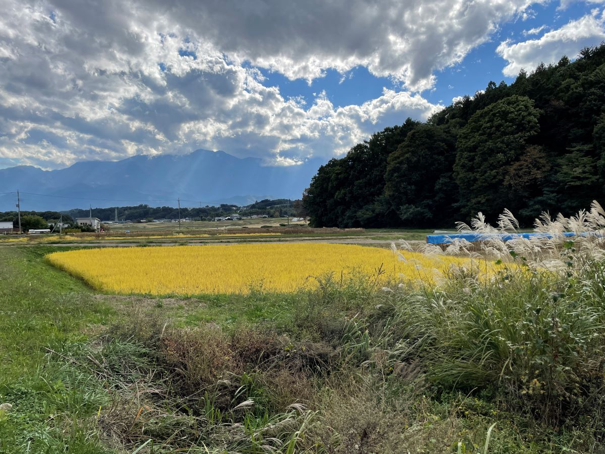 daniel moore journeys in japan