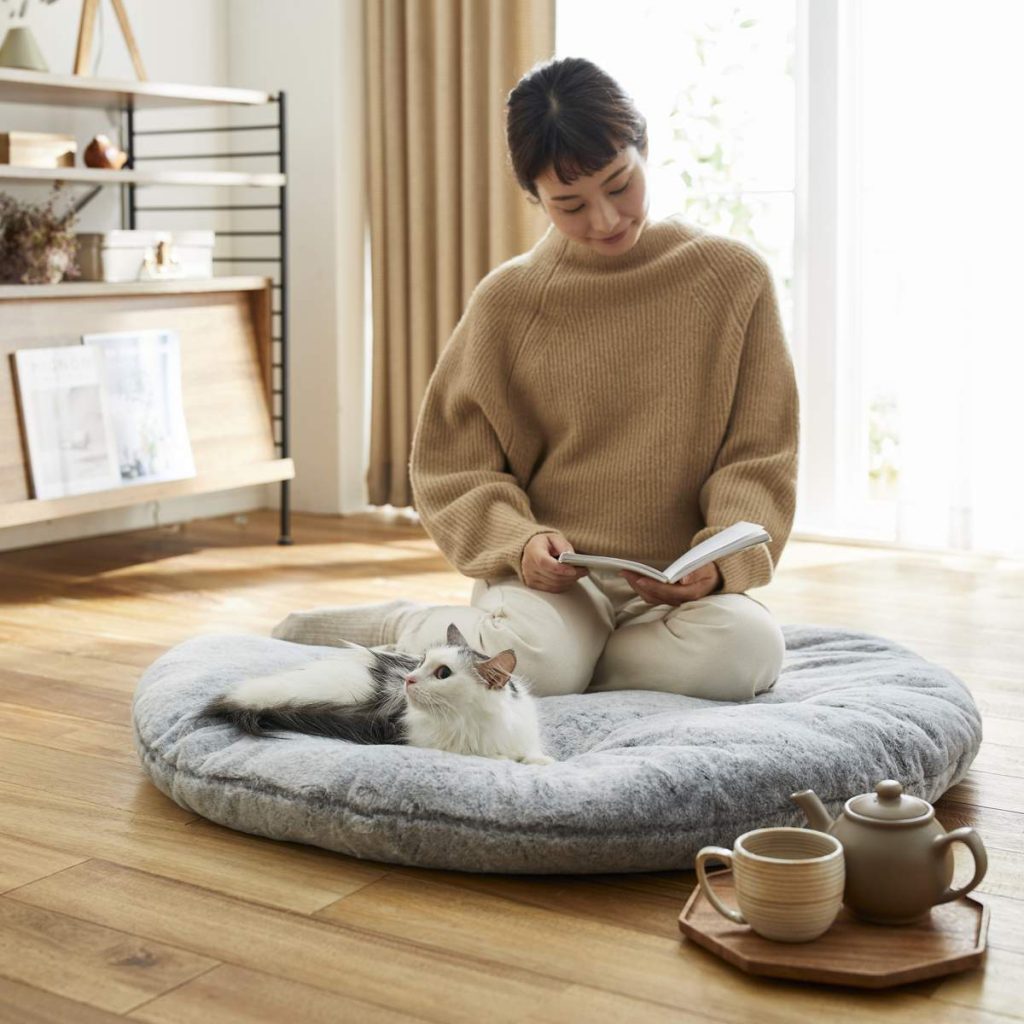 It's Purr-fect! The Ultimate Cat-Inspired Blankets for This Winter