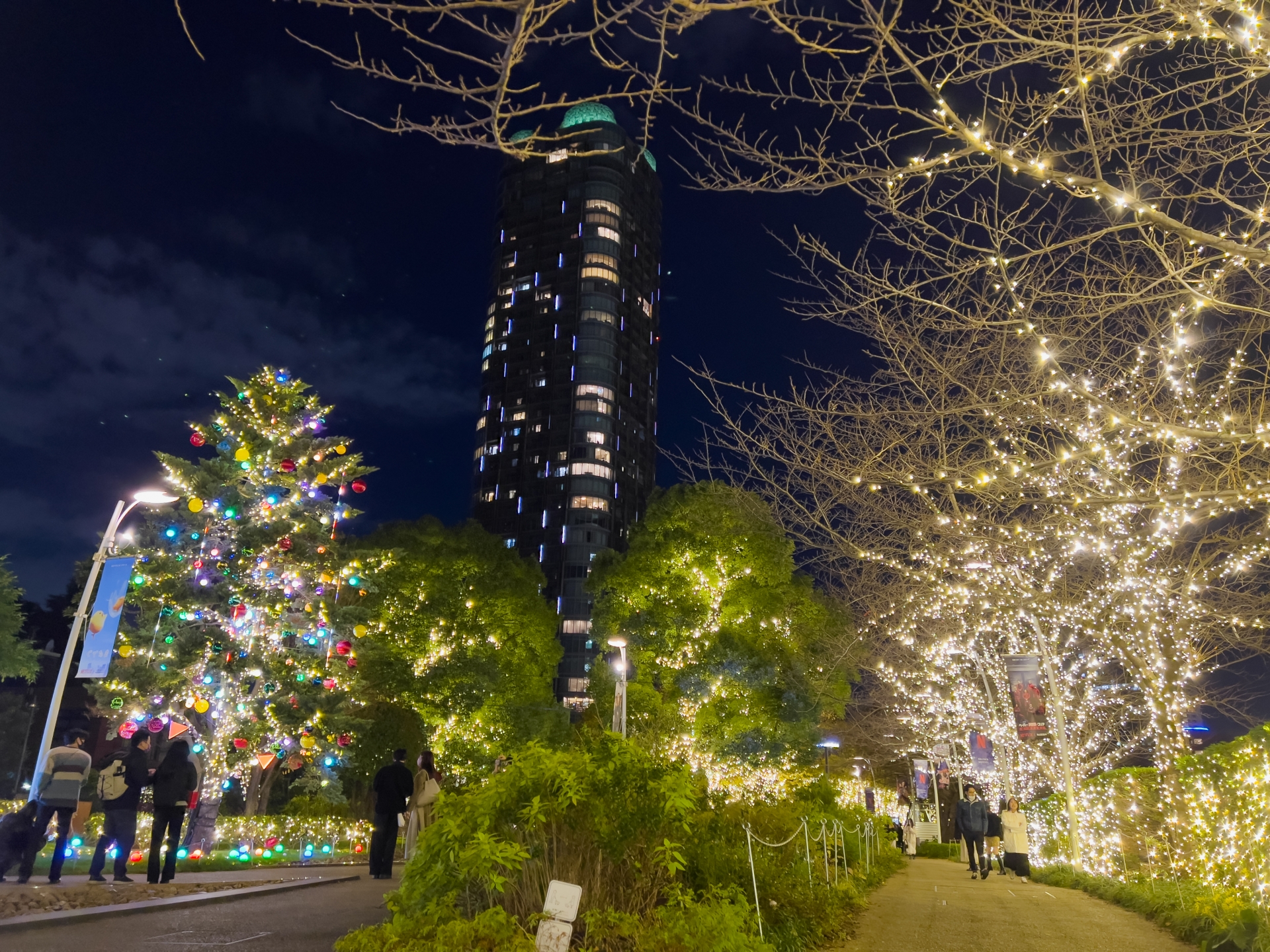 Japanese universities create glowing tree for non-electric lights