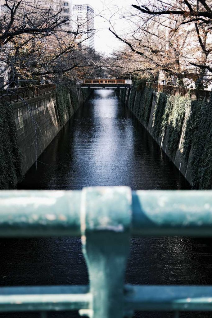 A photo of sakura trees over Megura river taken with the FujiFilm X100V