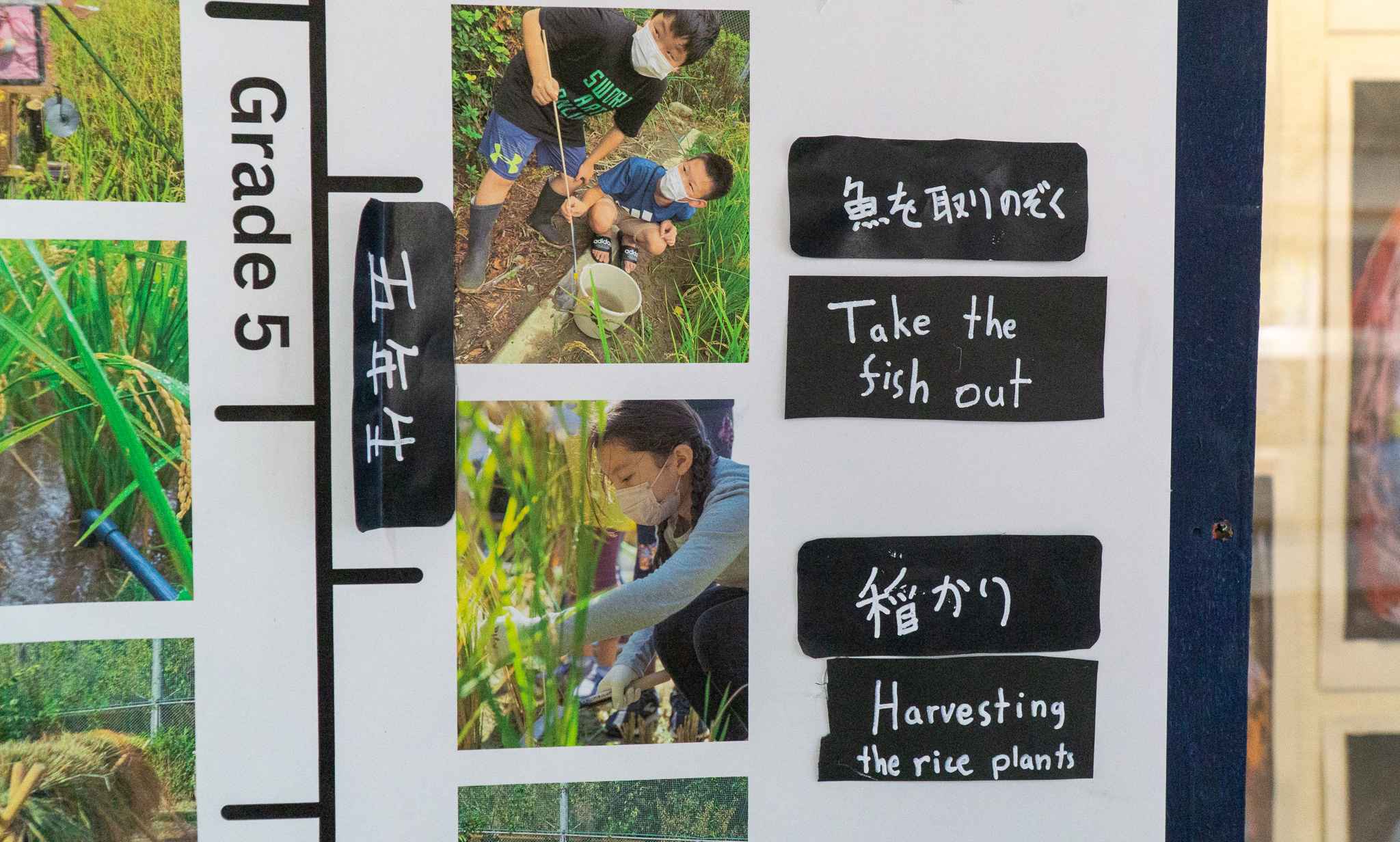 Education in Japan: Two Pioneering Women Empowering New Directions
