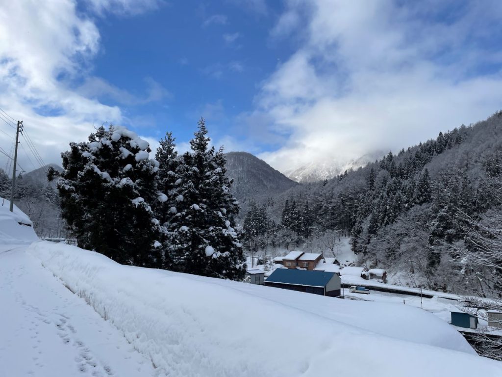 snowshoeing