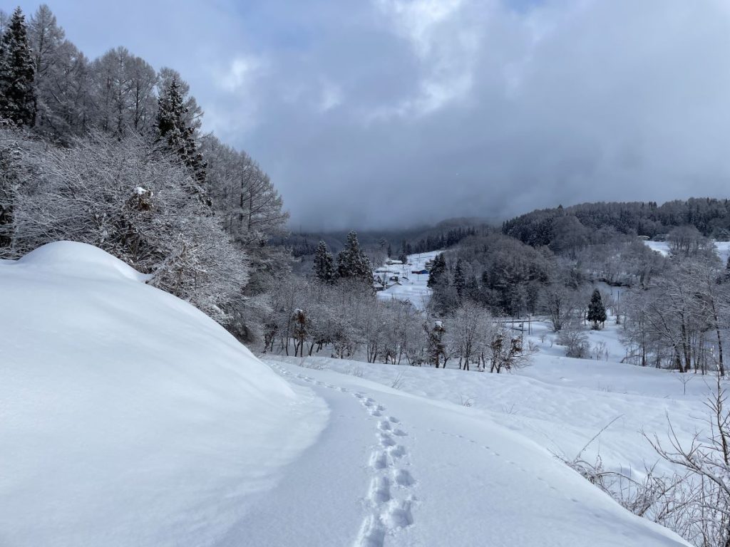 snowshoeing