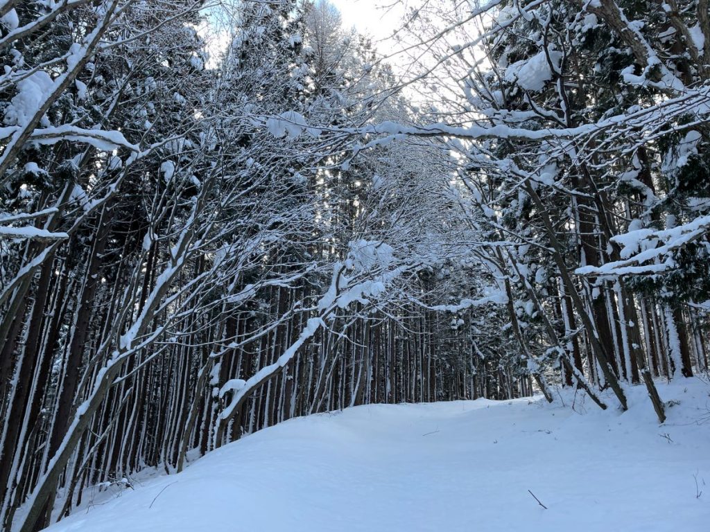 snowshoeing