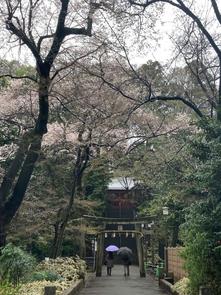 sakura Kawagoe