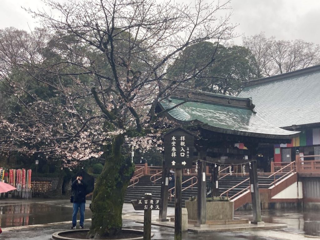 sakura Kawagoe