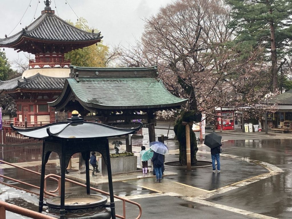 sakura Kawagoe