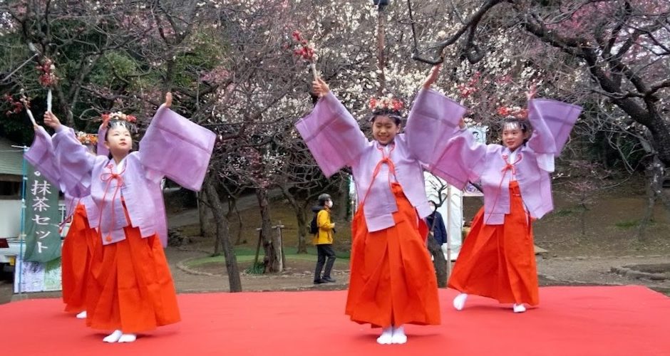 plum blossoms