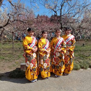 plum blossom