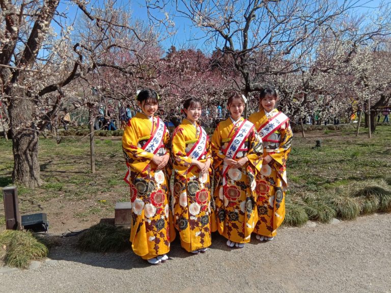 plum blossom