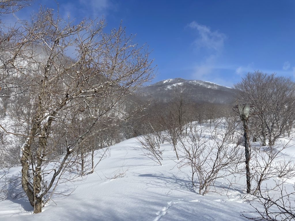 Yamagata