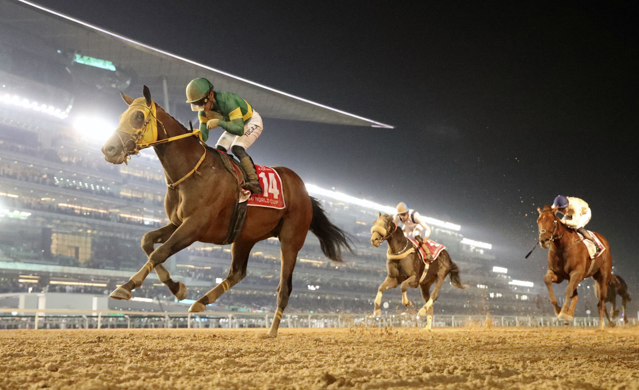 Yuga Kawada Rides Ushba Tesoro To Victory In The Dubai World Cup Japan Forward 0219