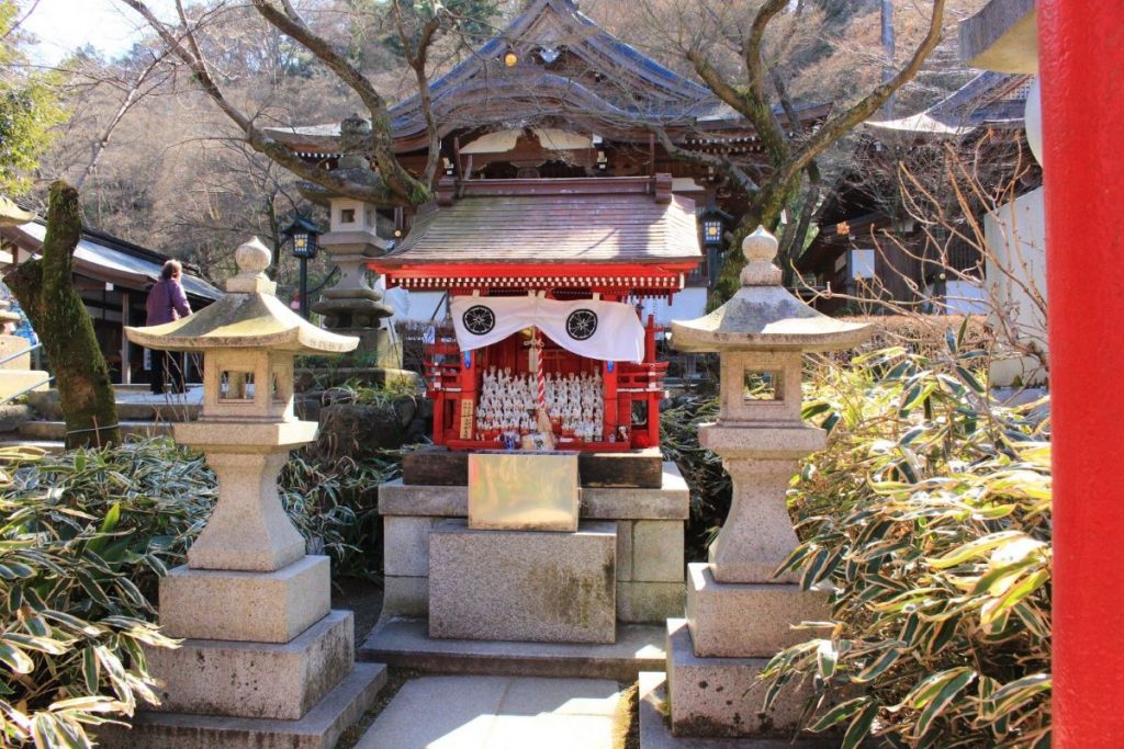 plum blossoms