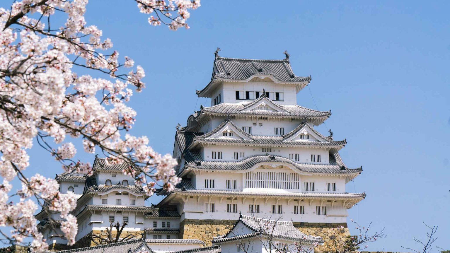 PHOTOS Himeji Castle Cherry Blossoms A Return to PreCOVID Enjoyment JAPAN Forward