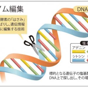 JF-Graphic Genome Editing (J) resized