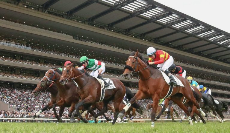 Tokyo Yushun