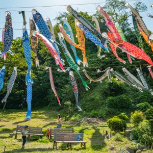 childrens-day-ushers-in-with-colorful-carp-streamers-2