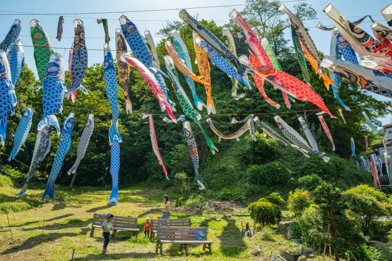 childrens-day-ushers-in-with-colorful-carp-streamers-2