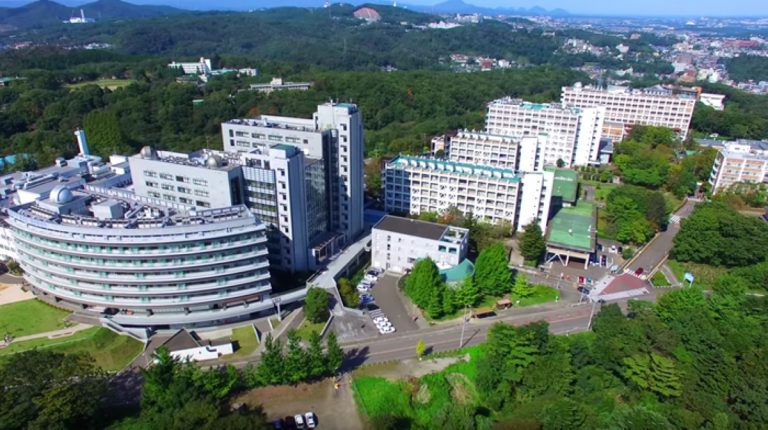 Faculty of Science of Tohoku University via Wikimedia