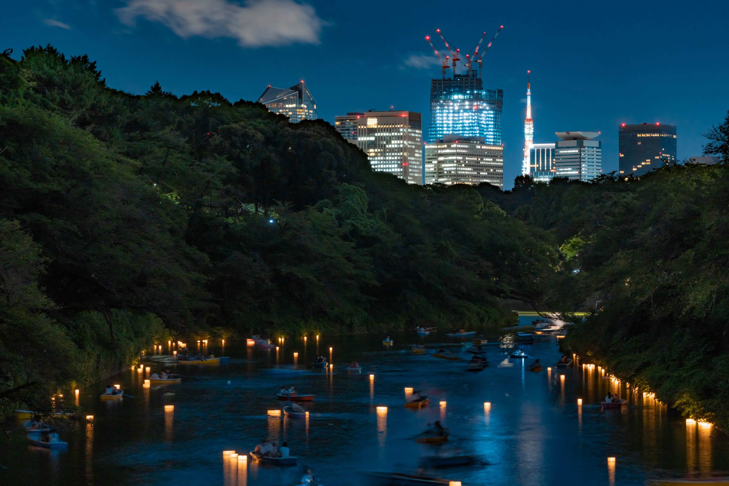 Magical Lantern Festival: A Journey Through Light and Tradition