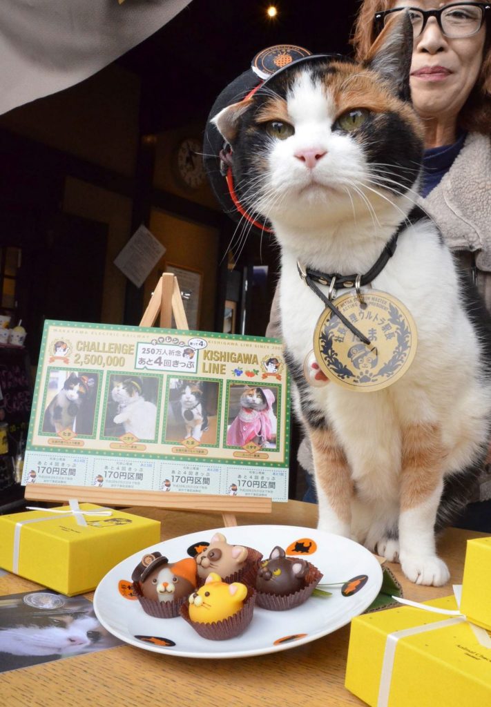 The Famous Cat Station Master Gets Her Own Picture Book