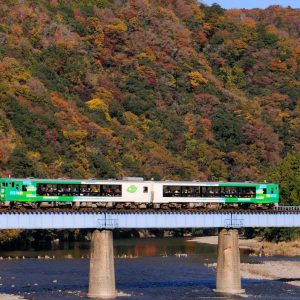 Autumn Train