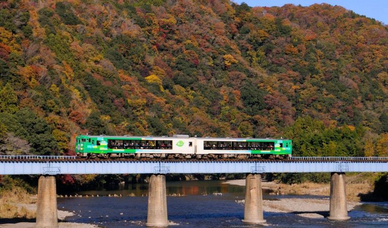 Autumn Train