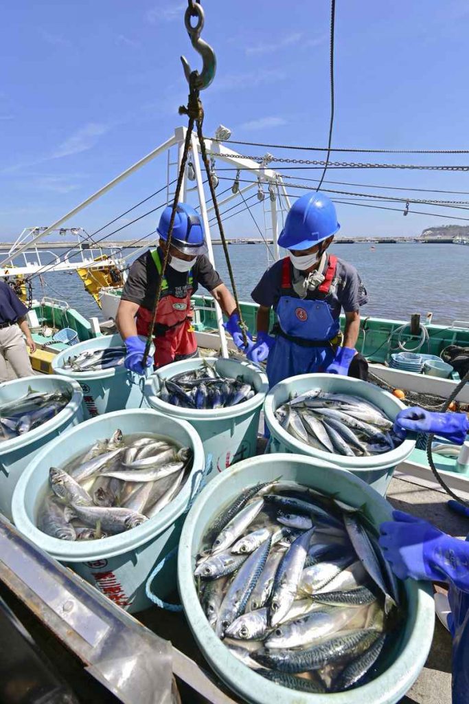 [Hidden Wonders of Japan] Trawl Fishing in Fukushima Sees Abundant ...