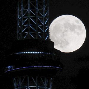 Japan Mid-Autumn Full Moon