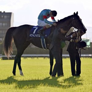 20231029 Horse Racing Emperor Attend Tenno Sho 003 Equinox Lemaire