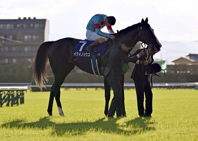 20231029 Horse Racing Emperor Attend Tenno Sho 003 Equinox Lemaire