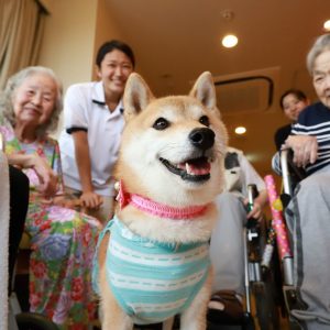 Dogs and Senior Citizen Dementia 001