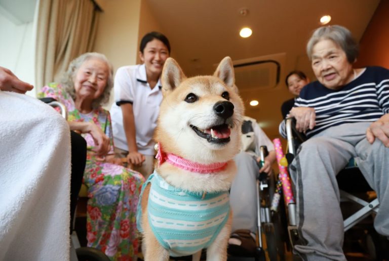 Dogs and Senior Citizen Dementia 001