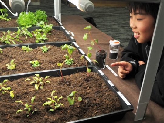 Growing Food On The Moon Using Asteroid Soil | JAPAN Forward