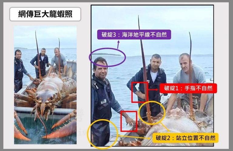 Shrimp Fake Photo Taiwan Fact Check Center