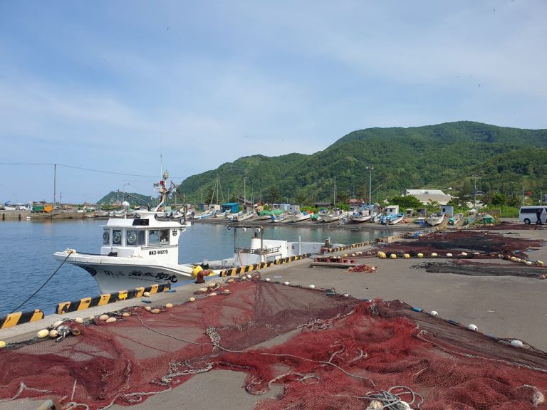 Fleet and nets uni article Agnes Tandler 20240608_142237