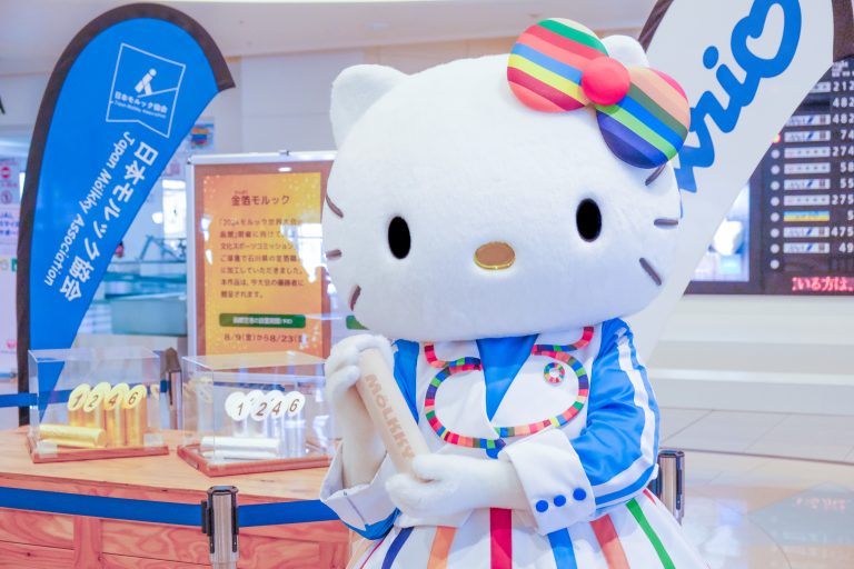 Sanrio Hakodate Molkky11