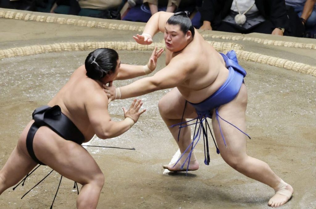 sumo