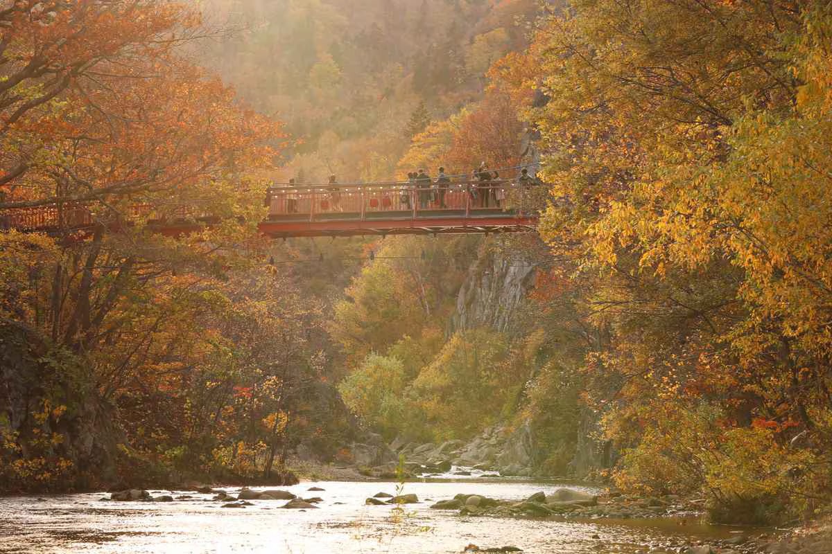 Bronze/Orange Road/Waterfall 永井博 一十三十一 Ibaraki: One-day trip to Hitachi Maple Leaf Famous Spots